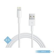 (2入組) APPLE蘋果適用 Lightning 對 USB連接 數據傳輸充電線【1公尺】