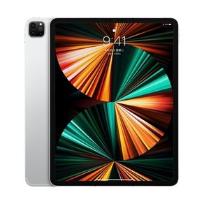 2021 Apple iPad PRO 11吋 Wi-Fi 1TB 平板電腦